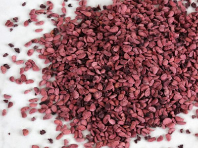 Малина з насіння в домашніх умовах