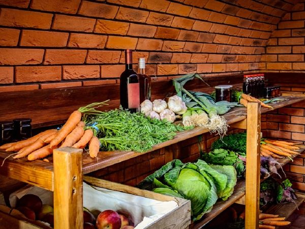 Как хранить морковь, свеклу, капусту и картофель, чтобы они не сгнили до весны