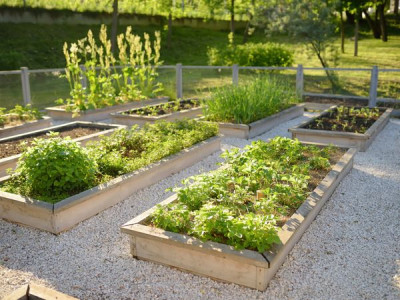 «Лінивий» город: як скоротити догляд удвічі