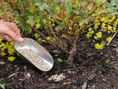 Обов'язкові весняні підживлення саду: склади і строки