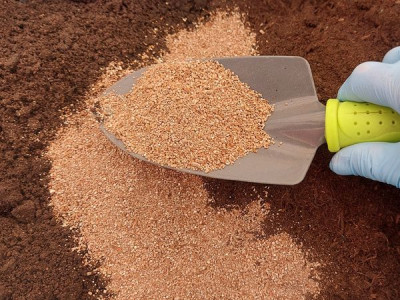 Що додати в ґрунт для розсади, щоб вона росла міцною і здоровою  