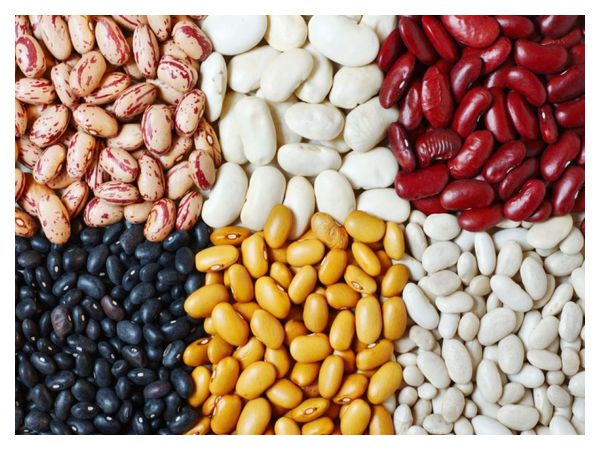 How to grow beans