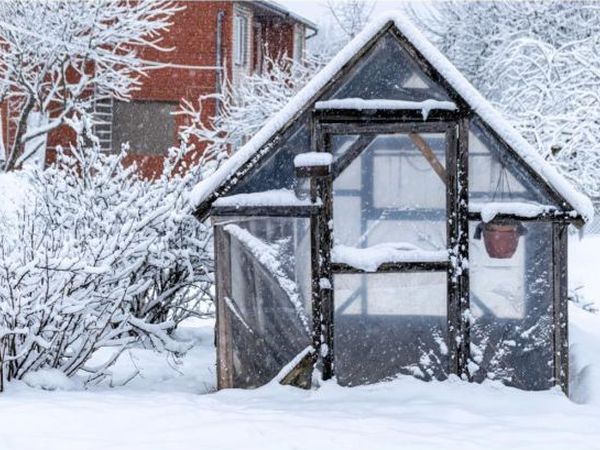 Як змусити теплицю приносити користь узимку