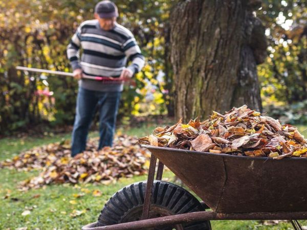 Корисні лайфхаки для городу в жовтні
