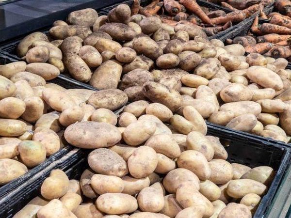 5 помилок зимового зберігання овочів