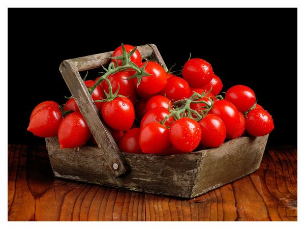 Tomatoes in a greenhouse or an open garden: which is better?