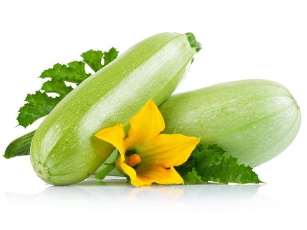 Squash: planting and care in open ground
