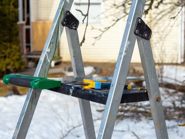 Three things to do in the garden before winter ends