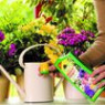 Flower fertilizers