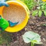 Vegetable fertilizers