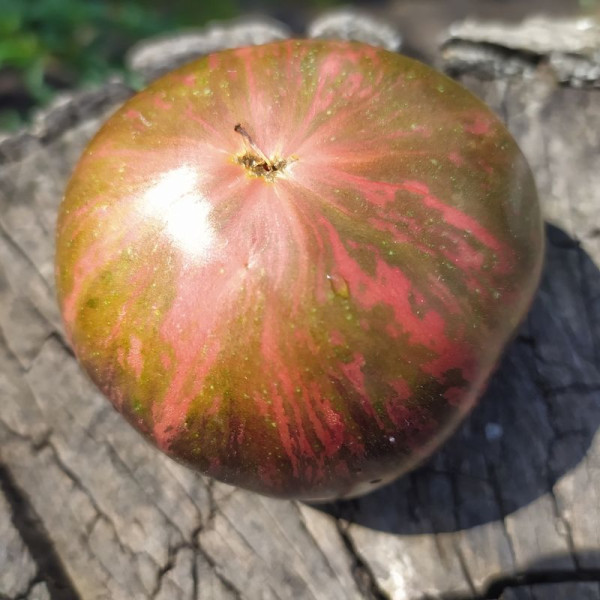 Tomato seeds «Blood Moon»