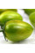 Tomato seeds «Green tiger»