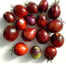 Насіння томату «Карлик дамаська сталь»