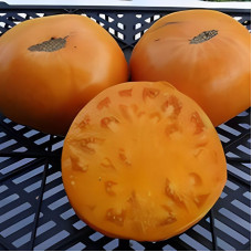 Насіння томату «Сніданок Келлога»