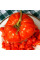 Насіння томату «Церква»