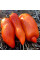 Насіння томату «Джерсі гігант»