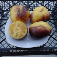 Насіння томату «Великий білий + P-20»