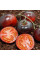 Tomato seeds «Wild card blues»