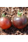 Tomato seeds «Wild card blues»