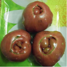 Tomato seeds «Black smile»