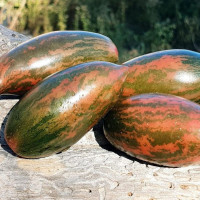 Насіння томату «Фіолетовий смарагд»