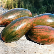 Насіння томату «Фіолетовий смарагд»