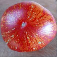 Tomato seeds «Firework pink»