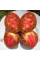 Tomato seeds «Dwarf purple heart»