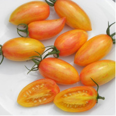 Tomato seeds «Blush»