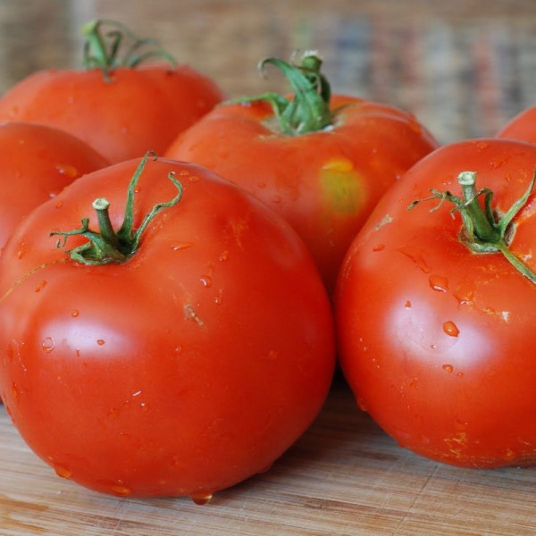 Tomato seeds «Ultra early»