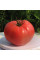 Насіння томату «Брендівайн з Хорватії»