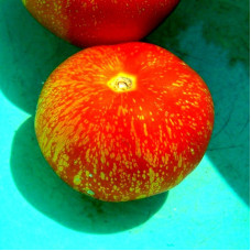 Насіння томату «Королеви Діна»