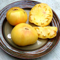 Насіння томату «Жовтий від Ліліан»