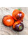 Tomato seeds «Antho Striped Dwarf»