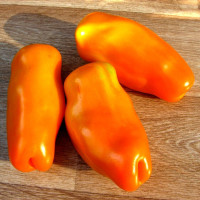 Tomato seeds «Eros»