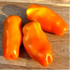 Насіння томату «Ерос»