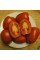 Насіння томату «Санта Крус Када гіганте»