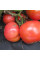 Насіння томату «Роза Алтаю»