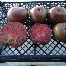 Насіння томату «Карликові стрінги»