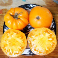 Tomato seeds «Hawaiian pineapple»