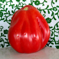 Семена томата «Гэзахнте»