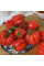 Насіння томату «Гезахнте»