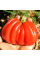 Насіння томату «Гезахнте»