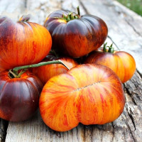 Насіння томату «Мрія Аліси»