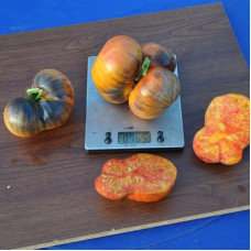 Насіння томату «Дніпровський захід сонця»