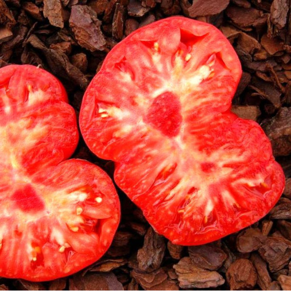 Семена томата «Королевский дар царя»