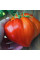 Tomato seeds «Venera»