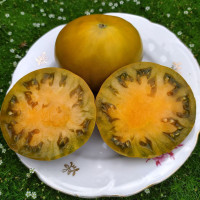 Насіння томату «Коричневий дербі з ферми Ельзера»