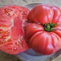 Насіння томату «Американські піраміди»