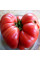 Насіння томату «Американські піраміди»